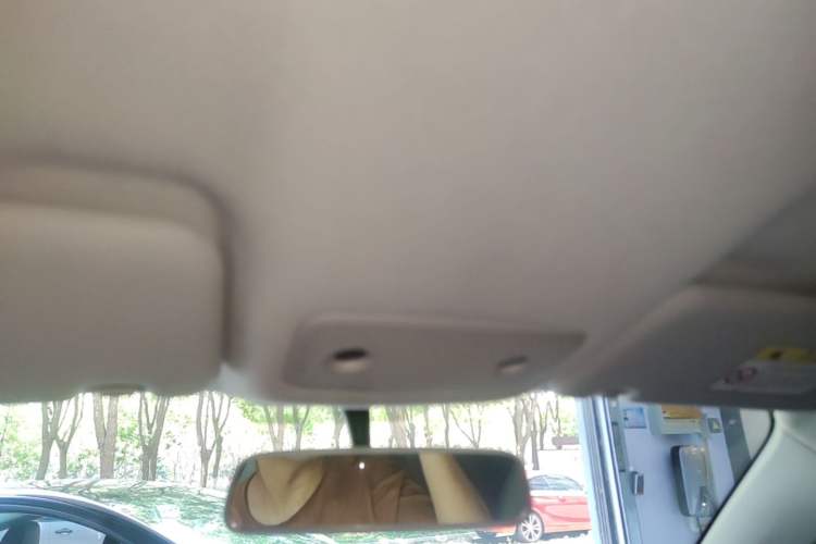 Used Leapmotor T03 2023 200 Lite Edition Headliner