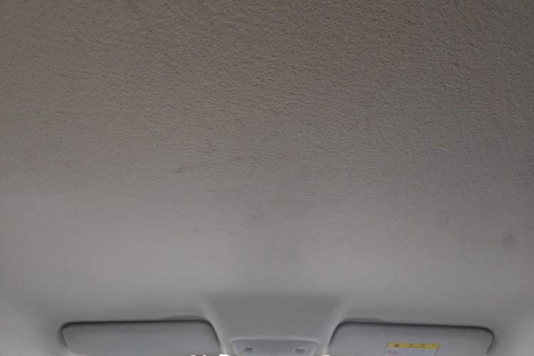 Used Leapmotor T03 2023 310 Lite Edition Headliner