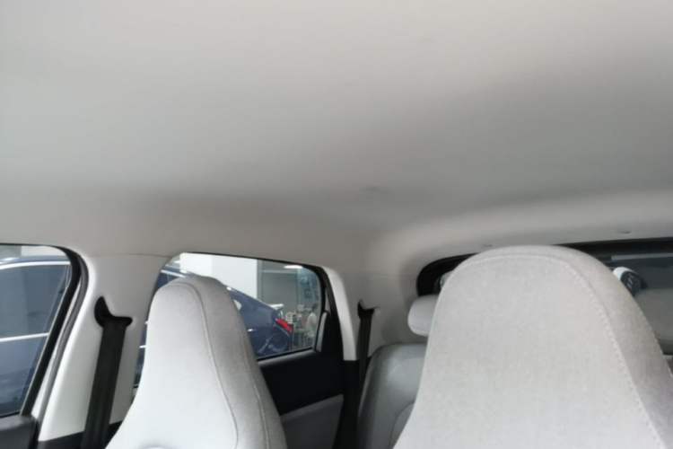 Used Leapmotor T03 2023 310 Lite Edition Headliner