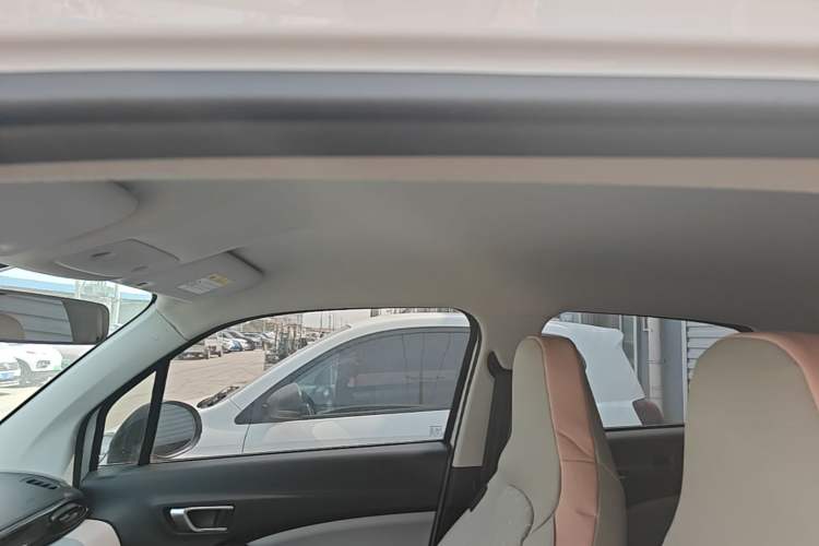 Used Leapmotor T03 2023 310 Lite Edition Headliner