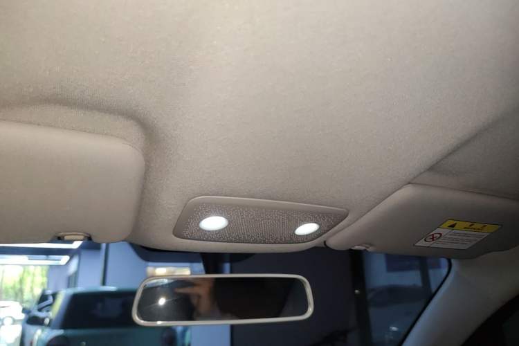 Used Leapmotor T03 2023 200 Lite Edition Headliner