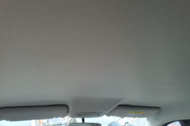Used Leapmotor T03 2023 200 Lite Edition Headliner
