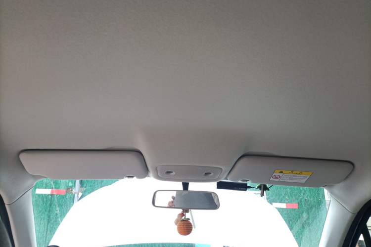 Used Leapmotor T03 2023 403 Lite Edition Headliner