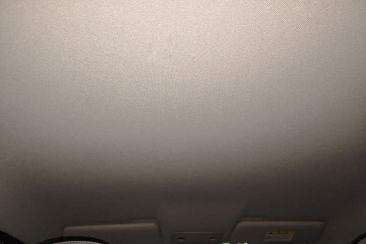 Used Leapmotor T03 2023 200 Lite Edition Headliner