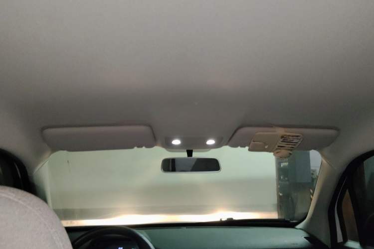 Used Leapmotor T03 2023 310 Lite Edition Headliner