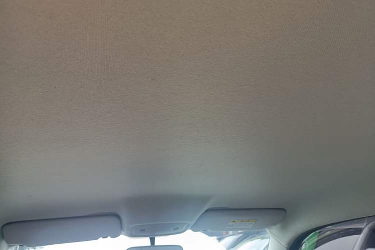 Used Leapmotor T03 2023 310 Lite Edition Headliner