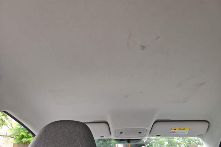 Used Leapmotor T03 2023 200 Lite Edition Headliner