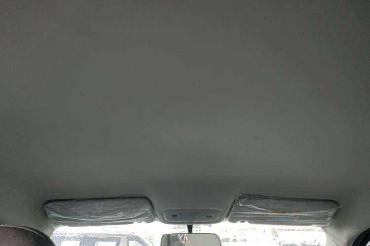 Used Leapmotor T03 2023 310 Lite Edition Headliner