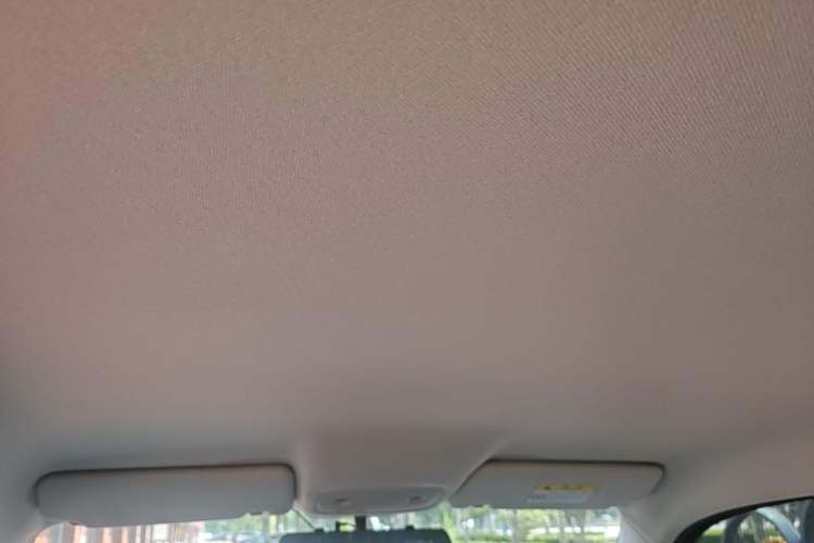 Used Leapmotor T03 2023 310 Lite Edition Headliner