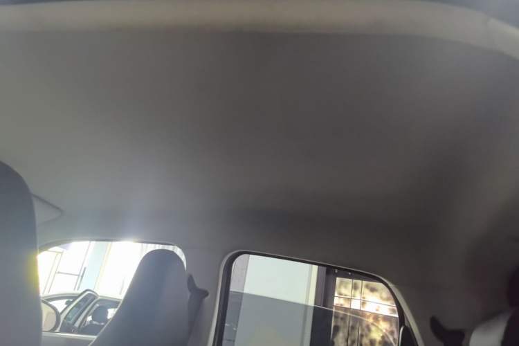 Used Leapmotor T03 2023 310 Lite Edition Headliner