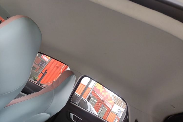 Used Leapmotor T03 2023 310 Lite Edition Headliner