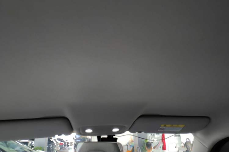 Used Leapmotor T03 2023 200 Lite Edition Headliner