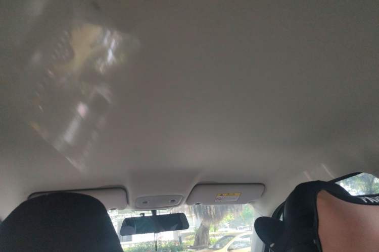 Used Leapmotor T03 2023 200 Lite Edition Headliner