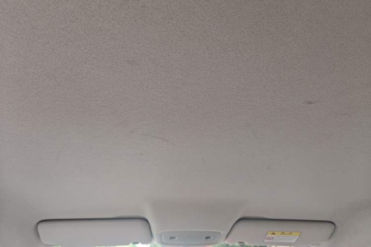 Used Leapmotor T03 2023 200 Lite Edition Headliner