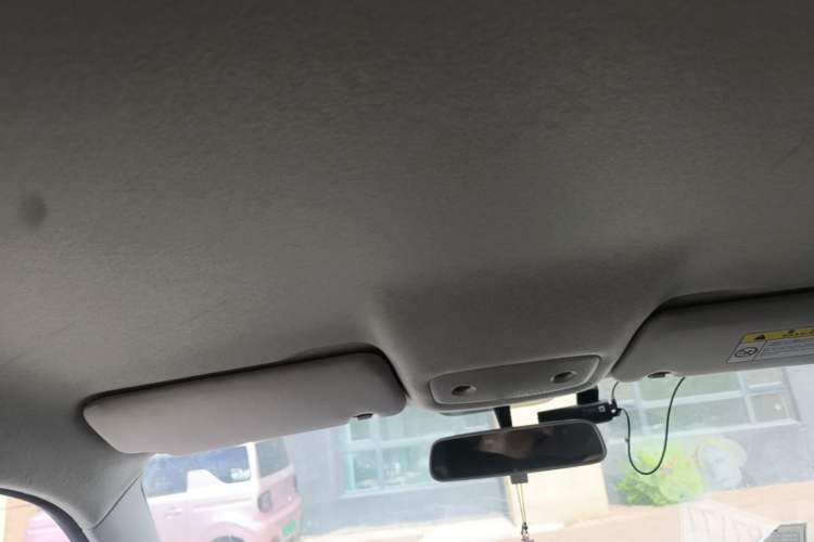 Used Leapmotor T03 2023 200 Lite Edition Headliner