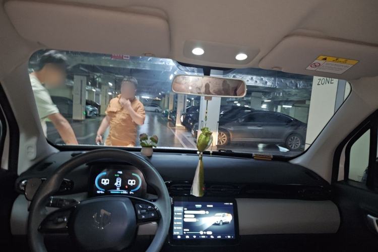 Used Leapmotor T03 2023 310 Lite Edition Headliner