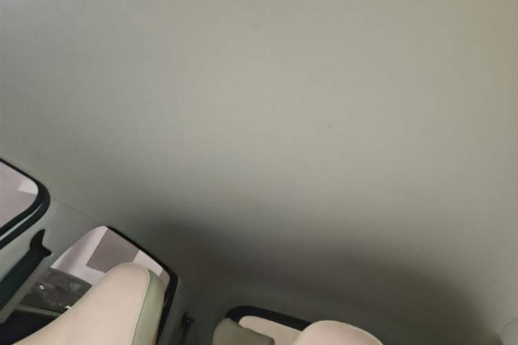 Used Leapmotor T03 2023 200 Lite Edition Headliner