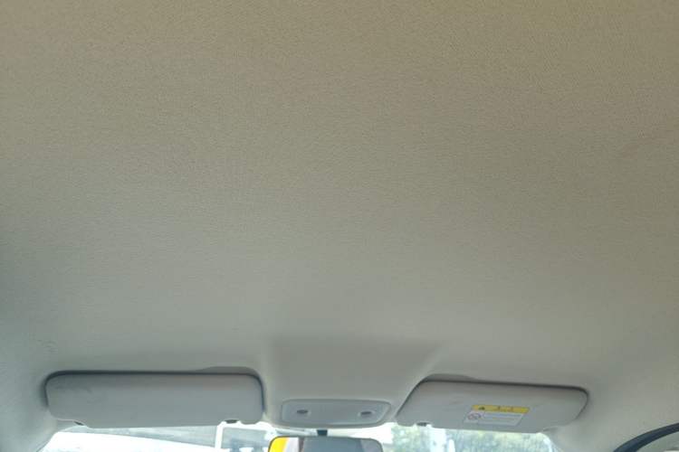Used Leapmotor T03 2023 310 Lite Edition Headliner