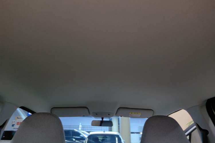 Used Leapmotor T03 2023 403 Lite Edition Headliner