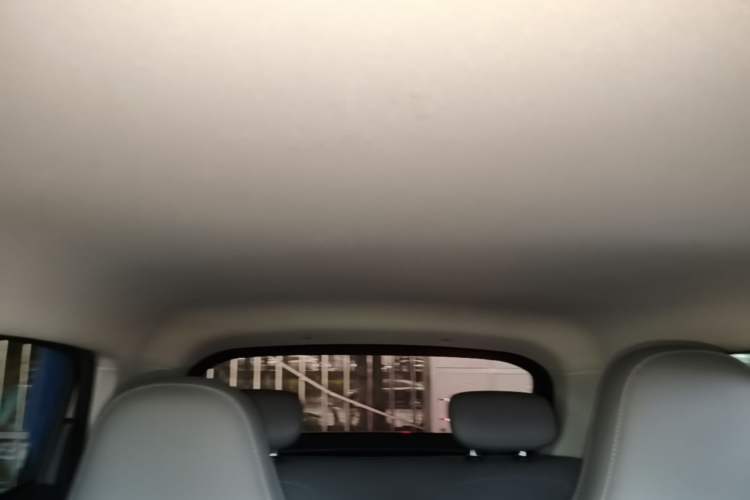 Used Leapmotor T03 2023 403 Smart Edition Headliner
