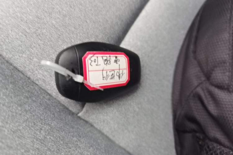 Used Leapmotor T03 2023 403 Lite Edition Interior 1