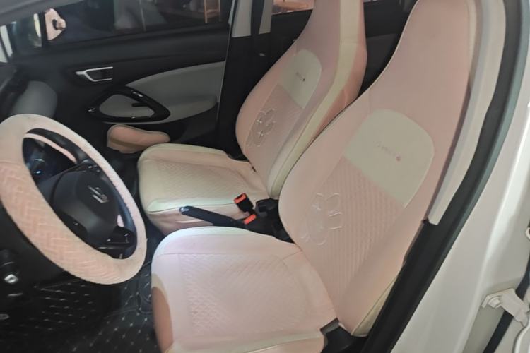 Used Leapmotor T03 2023 200 Lite Edition Left Front Seat