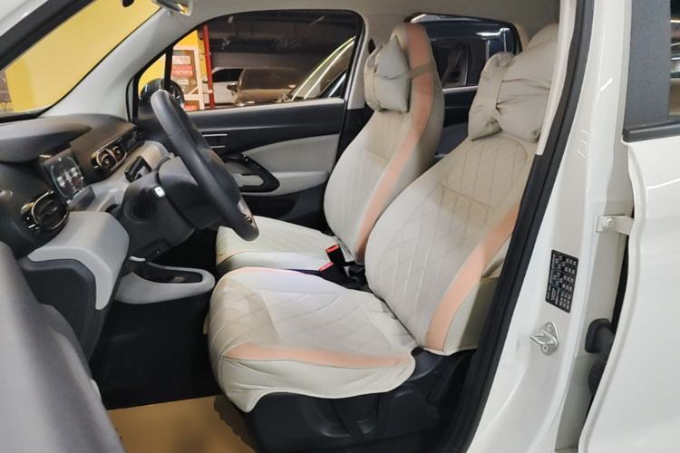 Used Leapmotor T03 2023 200 Lite Edition Left Front Seat