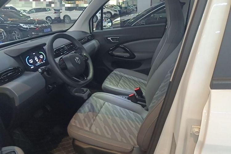 Used Leapmotor T03 2023 310 Lite Edition Left Front Seat