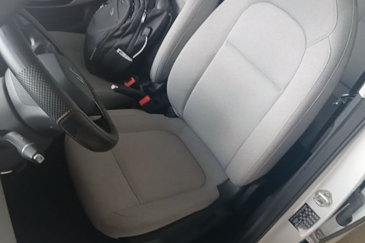 Used Leapmotor T03 2023 200 Lite Edition Left Front Seat