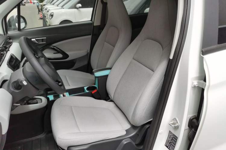 Used Leapmotor T03 2023 310 Lite Edition Left Front Seat
