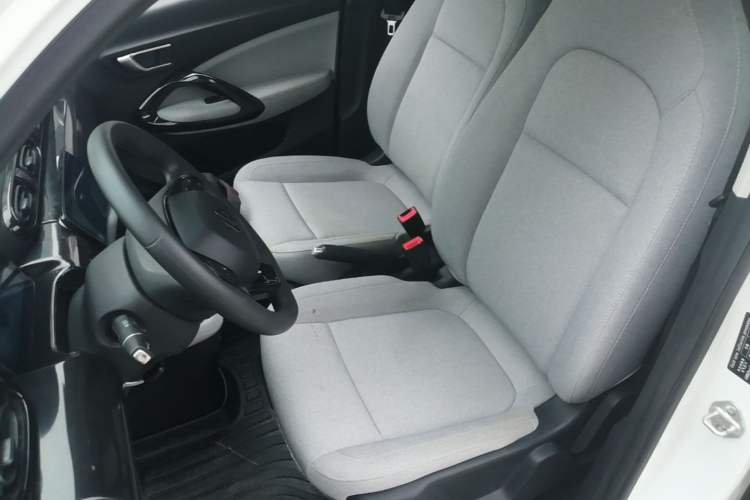 Used Leapmotor T03 2023 200 Lite Edition Left Front Seat