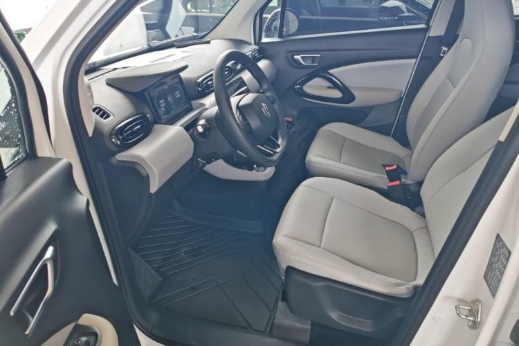 Used Leapmotor T03 2023 310 Lite Edition Left Front Seat