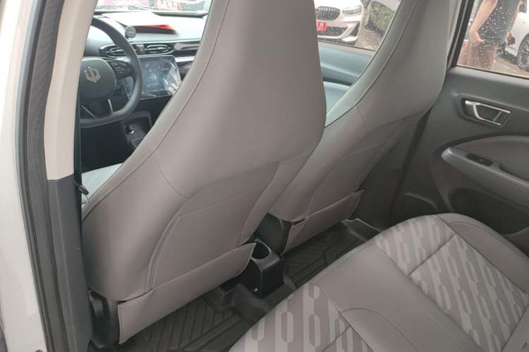 Used Leapmotor T03 2023 403 Lite Edition Left Front Seat