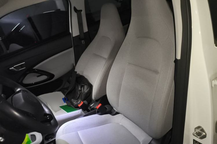 Used Leapmotor T03 2023 310 Lite Edition Left Front Seat