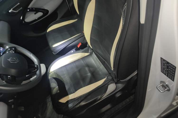 Used Leapmotor T03 2023 310 Lite Edition Left Front Seat