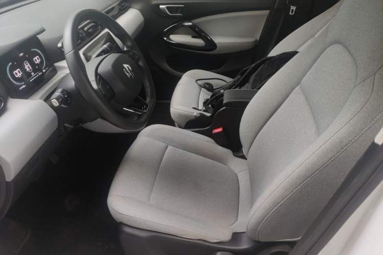 Used Leapmotor T03 2023 200 Lite Edition Left Front Seat