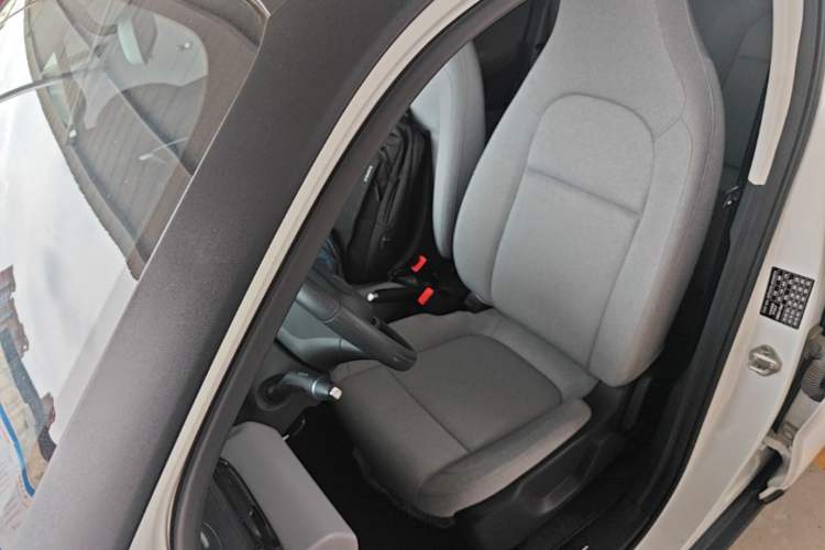 Used Leapmotor T03 2023 200 Lite Edition Left Front Seat