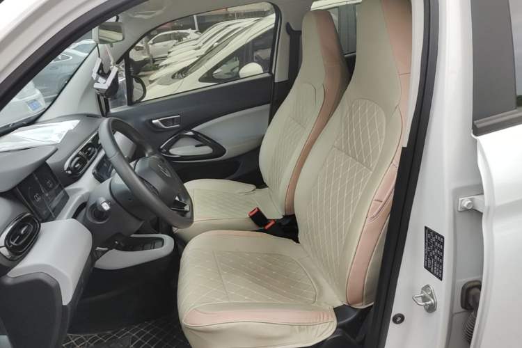 Used Leapmotor T03 2023 310 Lite Edition Left Front Seat