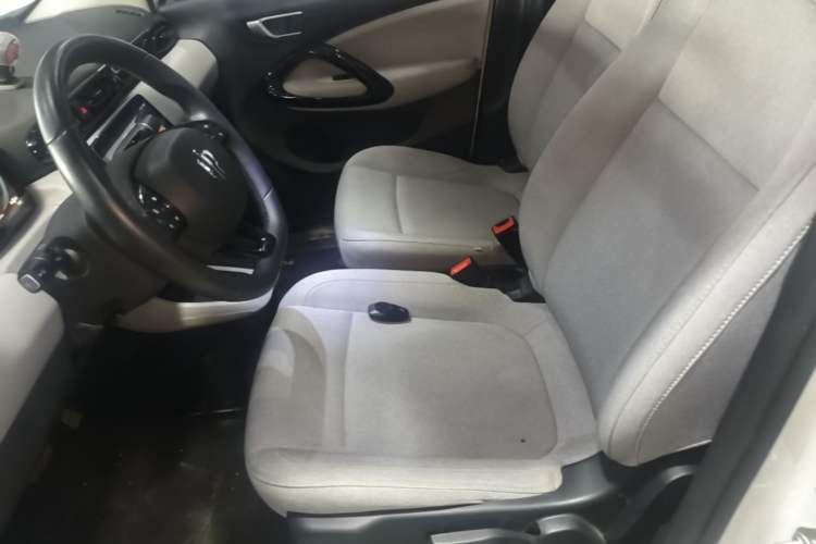 Used Leapmotor T03 2023 403 Smart Edition Left Front Seat