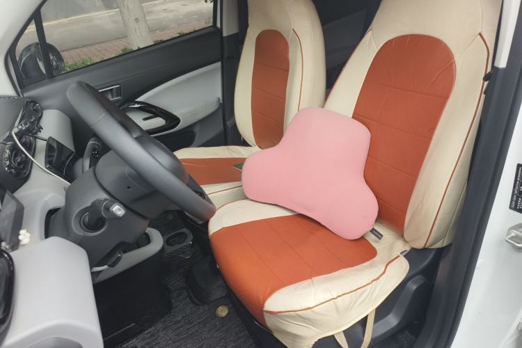 Used Leapmotor T03 2023 310 Lite Edition Left Front Seat