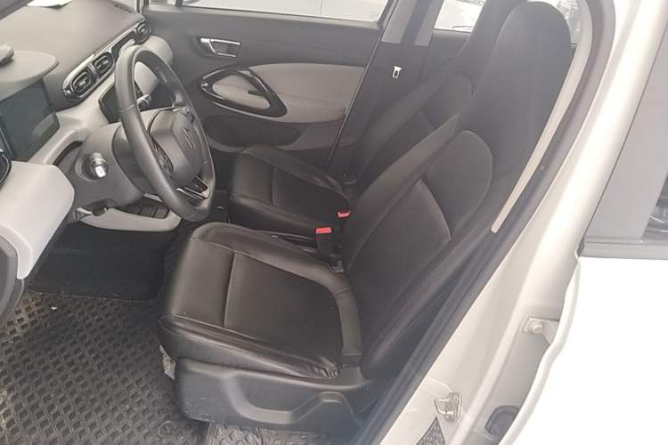 Used Leapmotor T03 2023 310 Lite Edition Left Front Seat