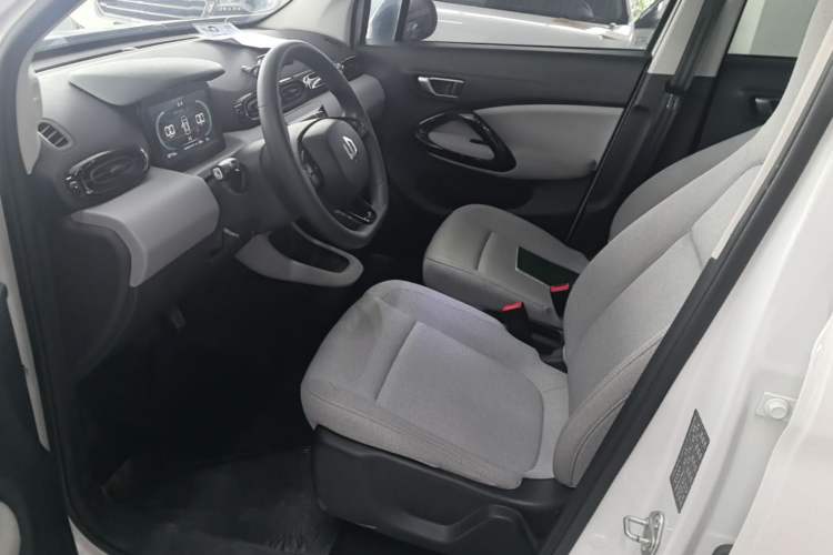 Used Leapmotor T03 2023 310 Lite Edition Left Front Seat