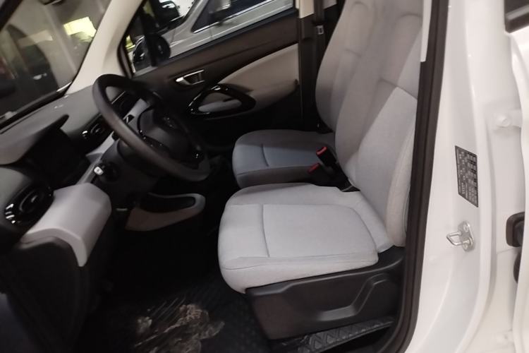 Used Leapmotor T03 2023 310 Lite Edition Left Front Seat