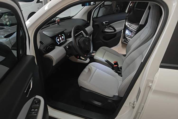 Used Leapmotor T03 2023 200 Lite Edition Left Front Seat