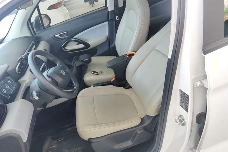 Used Leapmotor T03 2023 200 Lite Edition Left Front Seat