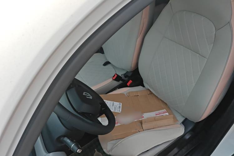 Used Leapmotor T03 2023 310 Lite Edition Left Front Seat