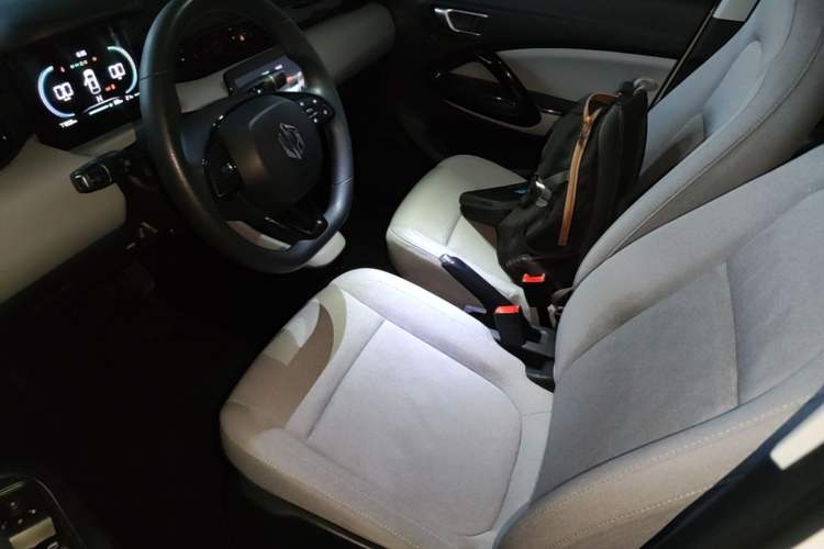 Used Leapmotor T03 2023 200 Lite Edition Left Front Seat