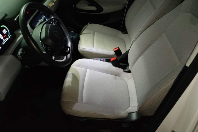 Used Leapmotor T03 2023 310 Lite Edition Left Front Seat