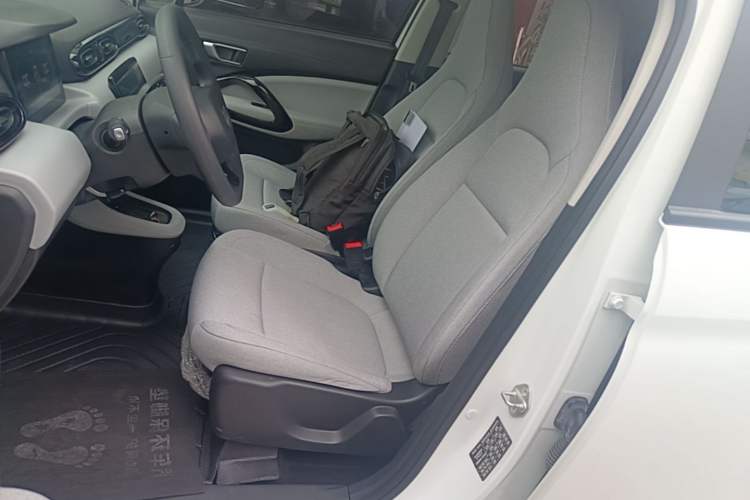 Used Leapmotor T03 2023 310 Lite Edition Left Front Seat