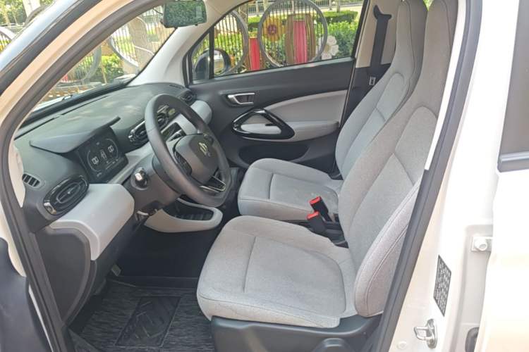 Used Leapmotor T03 2023 310 Lite Edition Left Front Seat